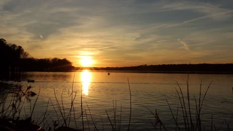 Erstaunlicher-Goldener-Sonnenuntergang-über-Einem-Friedlichen-See,-Der-Schimmerndes-Sonnenlicht-Reflektiert,-Während-Enten-Und-Gänse-Langsam-Durch-Die-Szene-Schwimmen