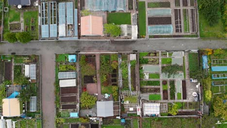 Aerial-top-down,-community-gardens,-small-community-backyard-farms-in-Gothenburg