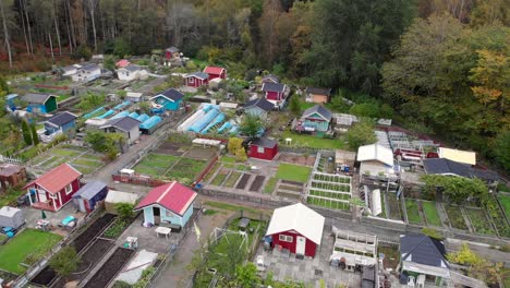 Aerial-view-of-a-Community-gardens-in-Sweden-surrounded-by-the-green-forest,-food-production-for-self-sufficient-off-grid-lifestyle