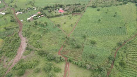 Countryside-Landscape-With-Green-Fields-And-Farmlands-In-Loitokitok,-Kenya---aerial-drone-shot