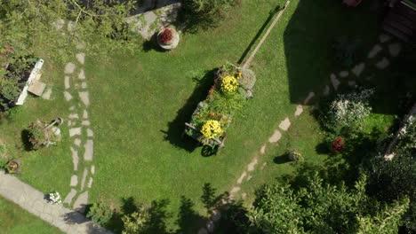 Garden-flowers-in-ornamental-wooden-cart-flower-pot,-rising-aerial-view