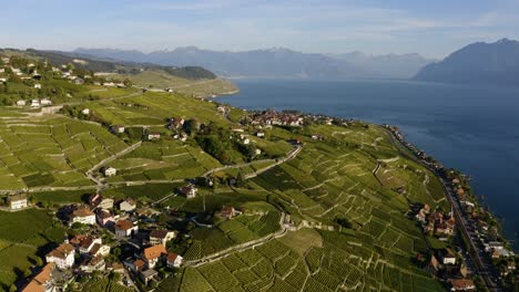 Beautiful-Summer-Landscape-Of-Lake-Geneva,-Lavaux-Vineyard-Terraces-And-Alps,-Swiss-Riviera,-Switzerland,-Europe---aerial-drone-shot