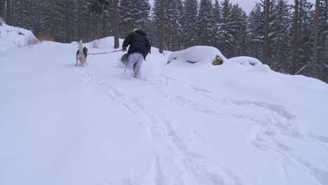 Junge-Frau-Hat-Spaß-Mit-Heiseren-Hunden-Im-Freien-Auf-Verschneiten-Waldpfaden