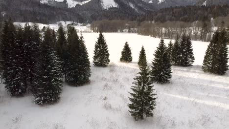 Drone-flight-over-frozen-lake-in-Austria