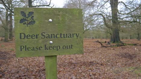 Deer-sanctuary-please-keep-out-conservation-warning-sign-in-woodland