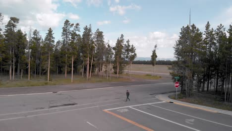Slow-motion-rising-aerial-shot-of-a-man-crossing-a-road-with-the-plains-and-trees-of-Yellowstone-in-Wyoming-behind-him