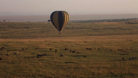 Stunning-wide-aerial-drone-view-of-hot-air-balloon-flying-above-wildlife,-zebras,-wildebeest-and-antelope-during-colorful-sunset-overlooking-vast-grassland-in-African-Savanna,-Kenya,-Africa