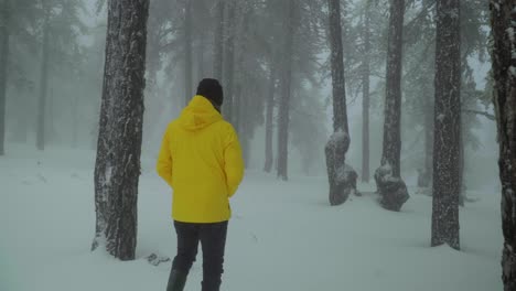Rear-view-following-a-man-walking-alone-through-a-snowy-forest,-while-wearing-a-bright-yellow-coat