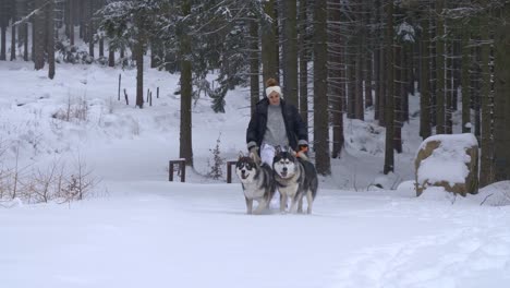 Women-with-playful-Siberian-huskies-during-winter-dog-walk-on-snowy-forest-trail