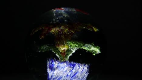 Biosphäre-Auf-Rotierendem-Display-Isoliert-Auf-Dunklem-Hintergrund