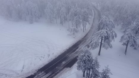 Aerial-view-of-an-empty-winter-road-winding-through-the-trees-of-Troodos-Mountain-in-Cyprus