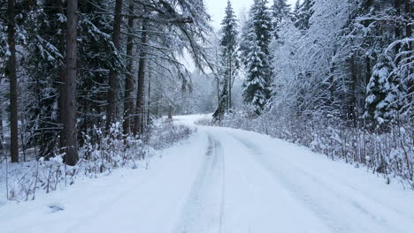 Driving-through-the-forest-on-snow-covered-road