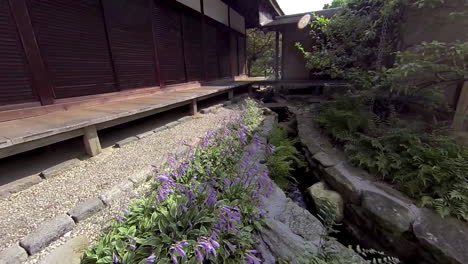 Steadicam-shot-moving-through-Japanese-dry-landscape-garden-and-stream