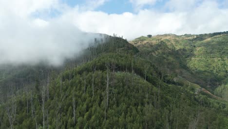 Lush-green-mountains-on-Madeira-covered-in-low-hanging-clouds,-aerial