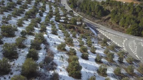 Drone-shot-over-a-snowed-olive-field-in-Andalusia,-Spain