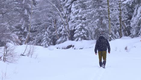 Blick-Von-Der-Rückseite-Eines-Mannes,-Der-Allein-In-Einem-Verschneiten-Wald-Spazieren-Geht