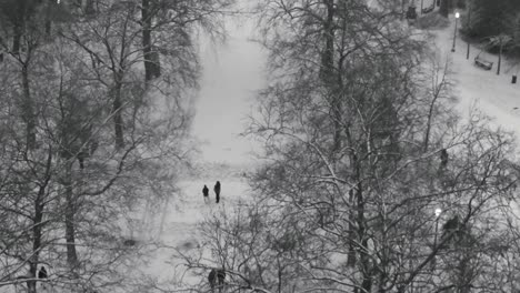 Schwarz-Weiß-Ansicht-Des-Brüsseler-Parks-Im-Winter