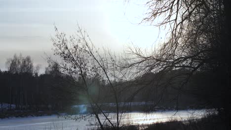 Sunset-behind-the-trees-frozen-river
