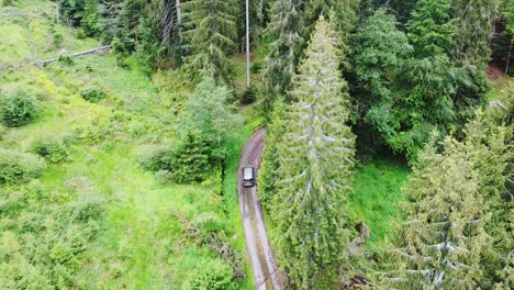 Antenne-Folgt-Dem-Auto-Auf-Einem-Waldweg-Mit-Grünen-Tannen