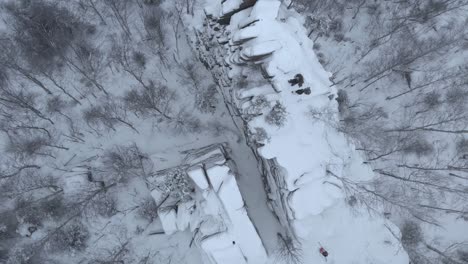 Luftaufnahme-Des-Schneebedeckten-Waldes-Mit-Felsigem-Gipfel-In-Der-Mitte