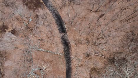 Rugged-logging-road-through-a-rocky-forest-with-a-bare,-deciduous-tree-canopy-in-the-Appalachian-mountains-during-winter-or-fall