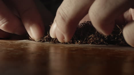 Hands-preparing-tobacco-for-home-rolled-cigarette,-close-up
