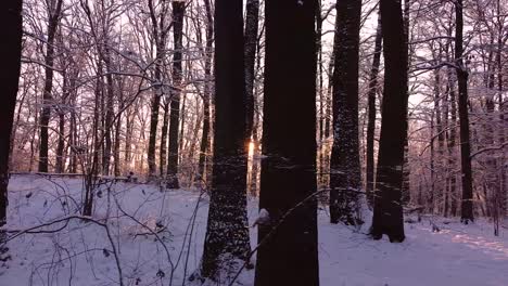 Epischer-Sonniger-Morgen-In-Einem-Schneebedeckten-Wald