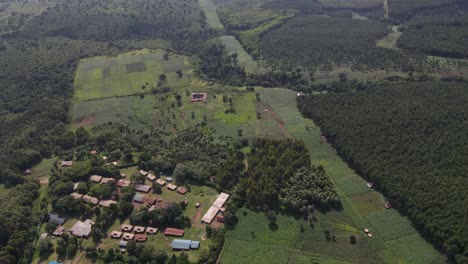 Malerischer-Blick-Auf-Ein-Dorf-In-Kilimandscharo,-Kenia,-Umgeben-Von-üppigen-Grünen-Bäumen-Tagsüber---Luftaufnahme