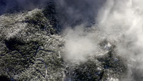 Cold-snowy-mountainside-forest,-aerial-top-down-view-of-snow-covered-treetops