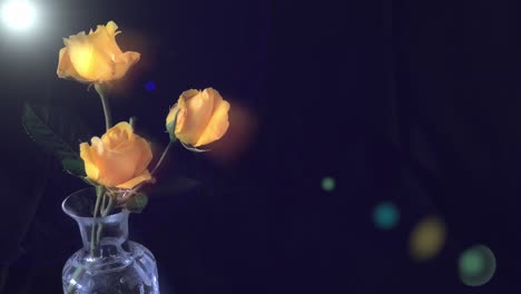 Three-yellow-roses-in-a-vase-with-lens-flare---Slide-left