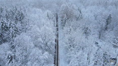 Luftbild-Auf-Der-Straße-Und-Im-Wald-Zur-Winterzeit---Natürliche-Winterlandschaft-Aus-Der-Luft---Luftdrohnenaufnahme