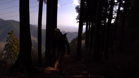 Silueta-De-Mae-Excursionista-Caminando-Por-El-Bosque-Oscuro-Con-Vista-Abierta-En-El-Fondo
