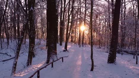 POV-following-the-forest-path-through-the-winter-wonderland