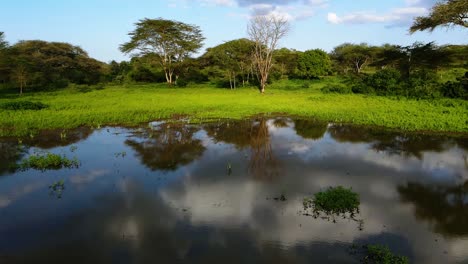 Luftaufnahme-Langsam-über-Einen-Spiegelnden-See,-In-Richtung-Dschungel-Und-Feuchtgebiete,-In-Kenia,-Afrika---Dolly,-Drohne-Geschossen