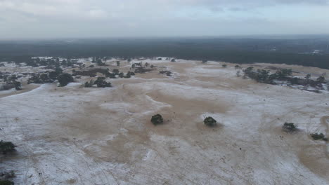 Aerial-of-beautiful-sand-dunes-near-the-edge-of-forest-in-winter