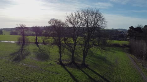 Drone-footage-going-up-with-a-leafless-tree-in-front-of-it-showing-countryside