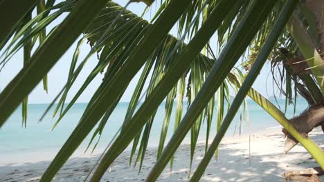 Blick-Auf-Den-Weißen-Sandstrand-Und-Den-Tropischen-Ozean-Durch-Die-Blätter-Der-Kokospalme