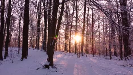 Durch-Einen-Epischen-Winterwald,-Der-Mit-Schnee-Bedeckt-Ist,-Der-Hellen-Aufgehenden-Sonne-Entgegen