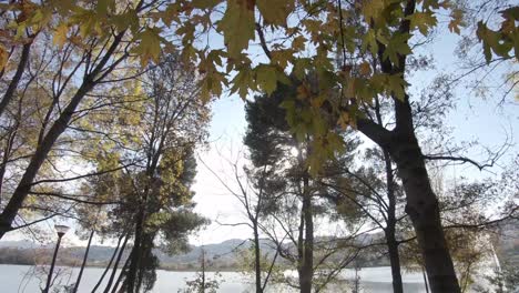 View-through-the-vegetation-of-Tirana's-Grand-Park-to-artificial-Lake-in-Albania---Wide-Tilt-down-shot-Reveal