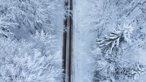 Top-Down-View-Of-Road-Through-Frozen-Forest-With-Snow-During-Winter---aerial-drone-shot