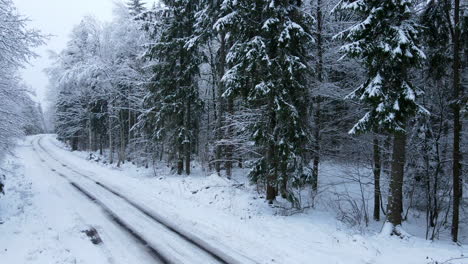 Drohne-Gleitet-Langsam-Nach-Links-Und-Zeigt-Ungereinigte-Schneegefrorene-Forststraße-Nach-Einem-Schneesturm,-Deby-Polen