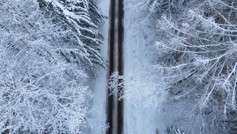 Aerial-view-of-village-empty-snowy-road-in-snow-covered-winter-mixed-forest,-drone-flying-back-close-to-treetops-along-the-road,-top-down-view