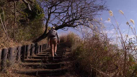 Excursionista-Solitario-Masculino-Subiendo-Escalones-De-Madera-En-Un-Sendero-Para-Caminar-En-Pastizales-Altos