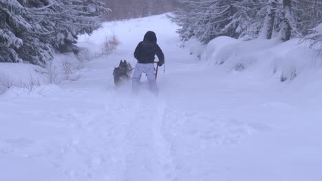 Husky-dogs-pulling-sledge-with-man-through-deep-snow-on-a-beautiful-winter-day