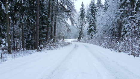 Schneebedeckte-Straße-Im-Winterwald---Drohnenaufnahme-Aus-Der-Luft