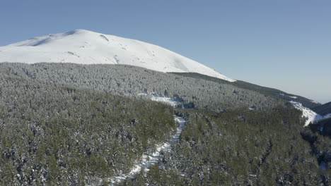Impresionante-Montaña-Cubierta-De-Nieve-Y-Camino-A-Través-De-Un-Manto-De-Pinos