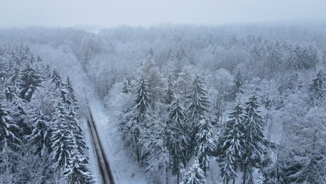 Aerial,-drone-slowly-flying-over-mixed-winter-forest-crossing-countryside-road-and-moving-towards-fir-tree-tops-branches-covered-with-deep-snow