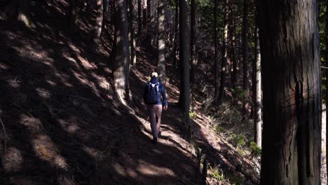Male-hiker-walking-along-ridge-in-contrasty-forest