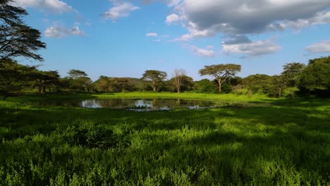 Vista-Aérea-Hacia-Un-Exuberante-Estanque-Verde,-En-Las-Selvas-Tropicales-De-Kenia,-Día-Soleado,-En-áfrica---Bajo,-Dolly,-Drone-Shot