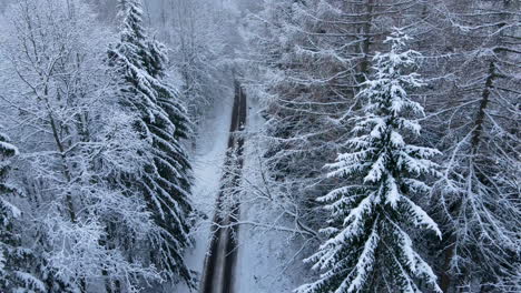 Leere-Straße-Mitten-Im-Wald-An-Einem-Verschneiten-Wintertag---Rückzug-Aus-Der-Luft